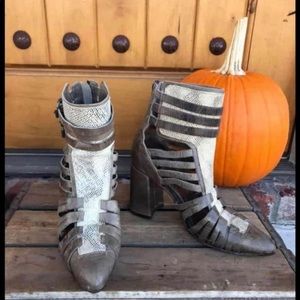 Freebird by Steven Jude